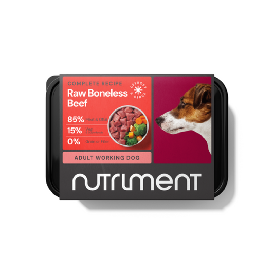 Nutriment raw cat food in Bristol