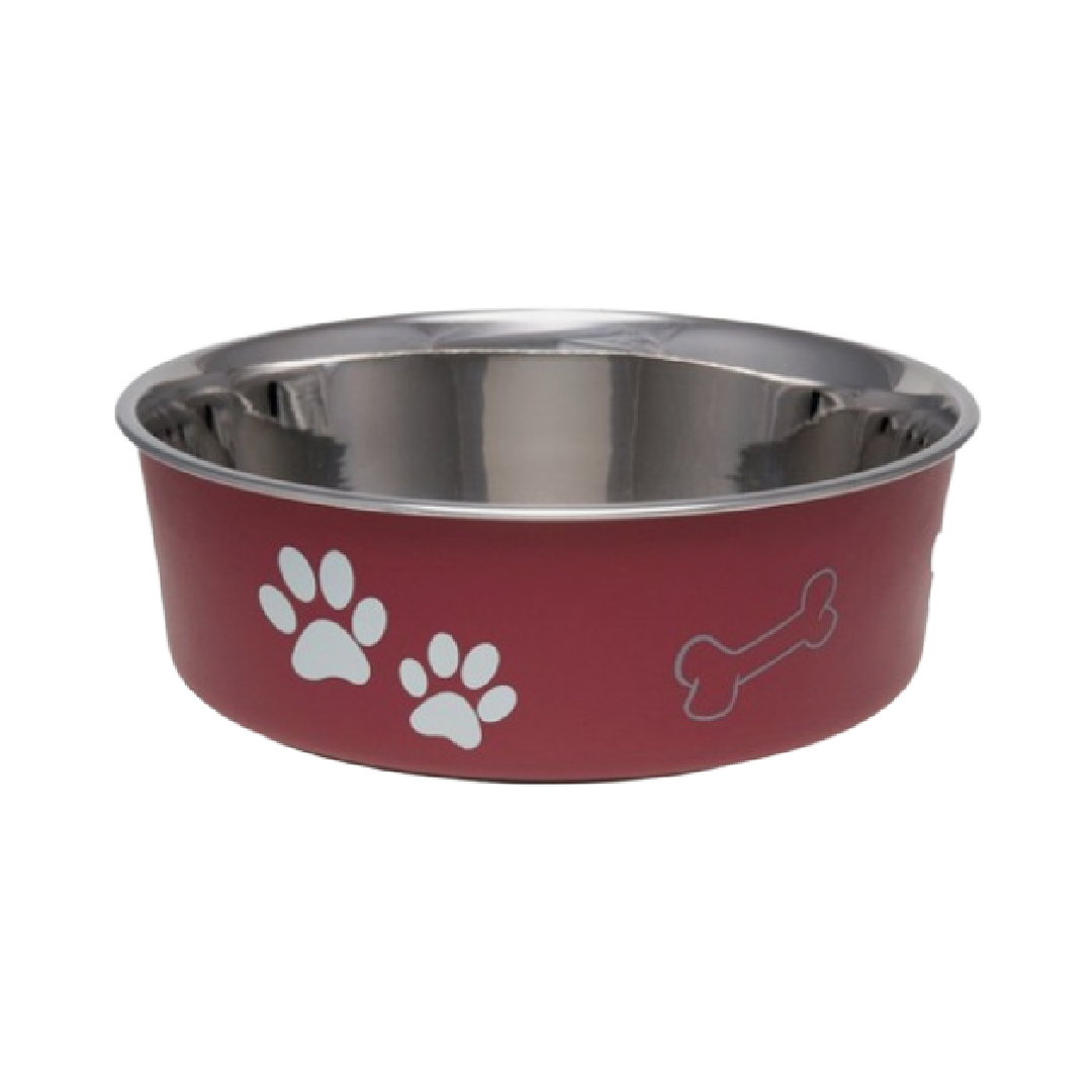 Pet bowls in Bristol