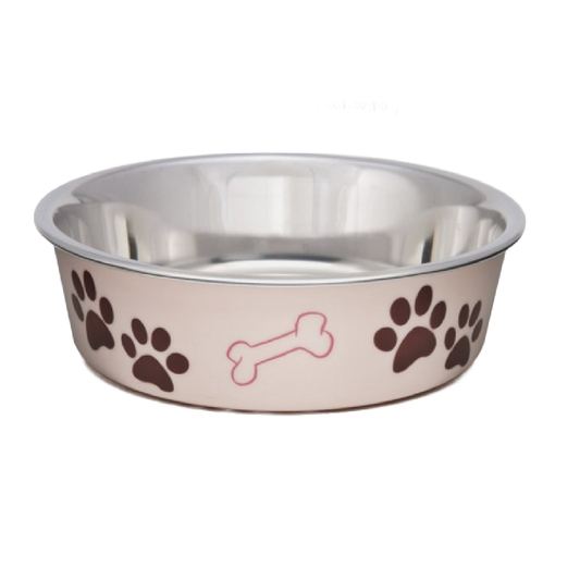 Pet bowls in Bristol