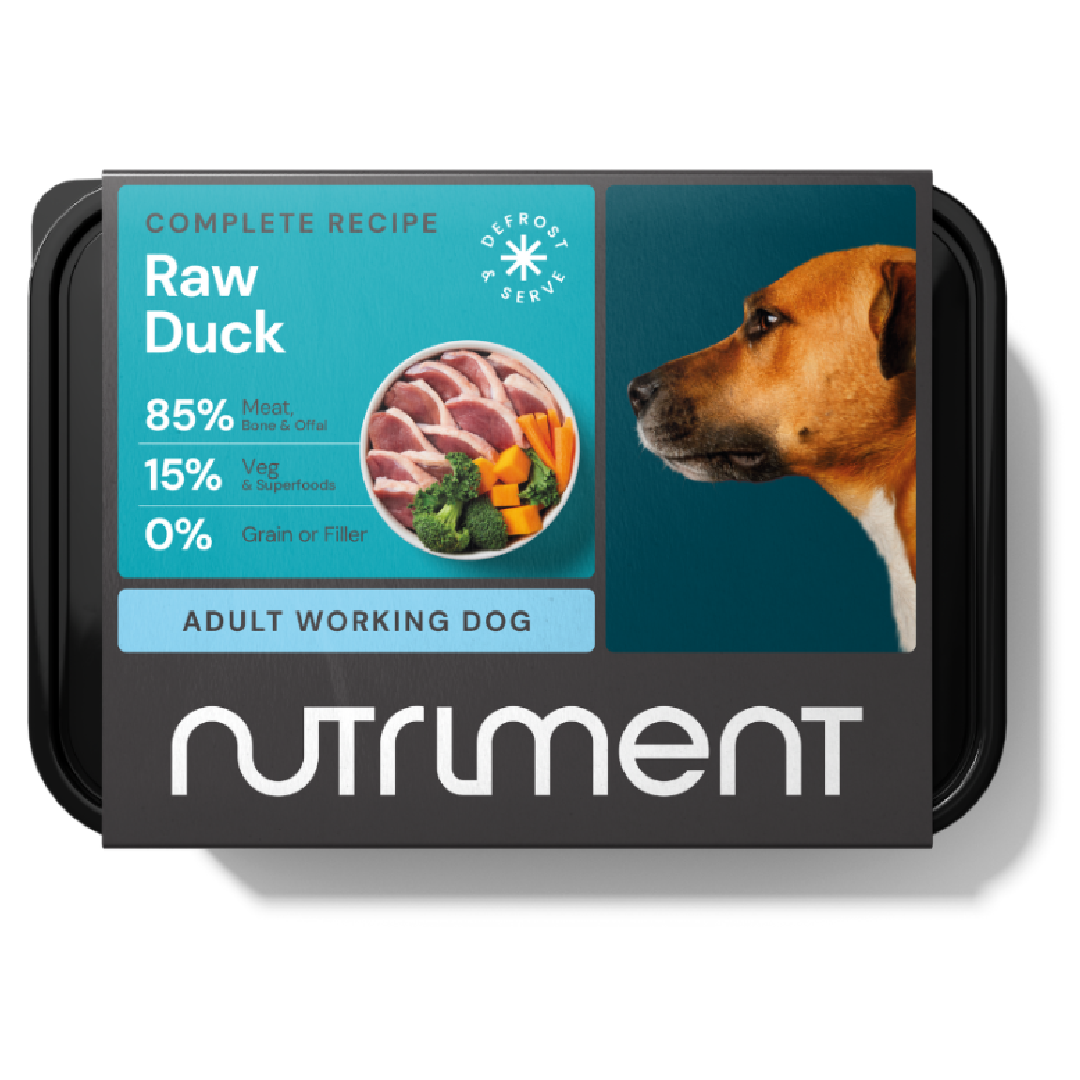 Nutriment raw dog food in Bristol