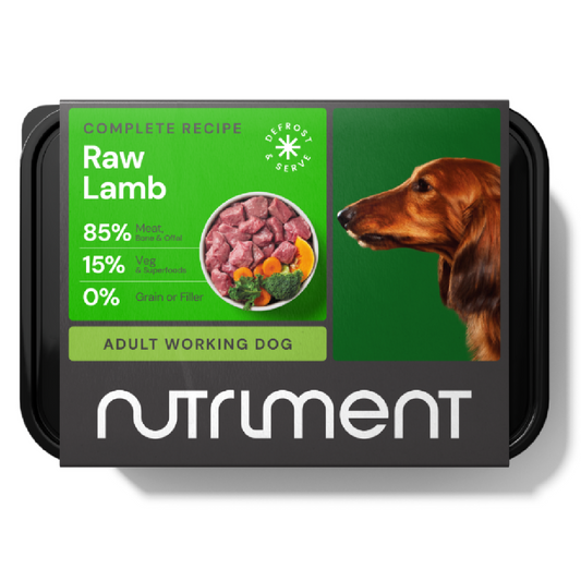 Nutriment raw dog food in Bristol