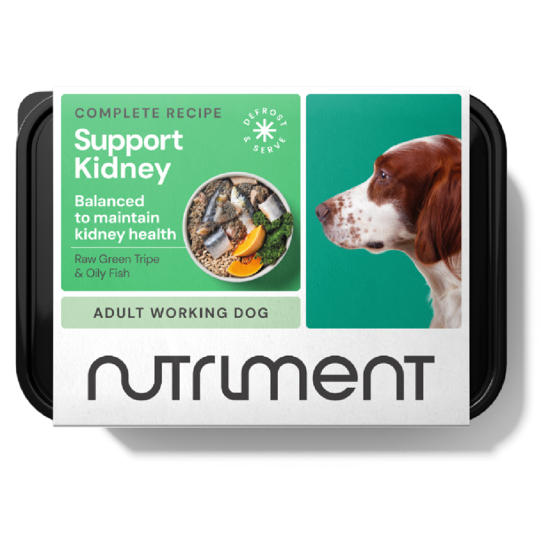 Nutriment raw dog food in Bristol