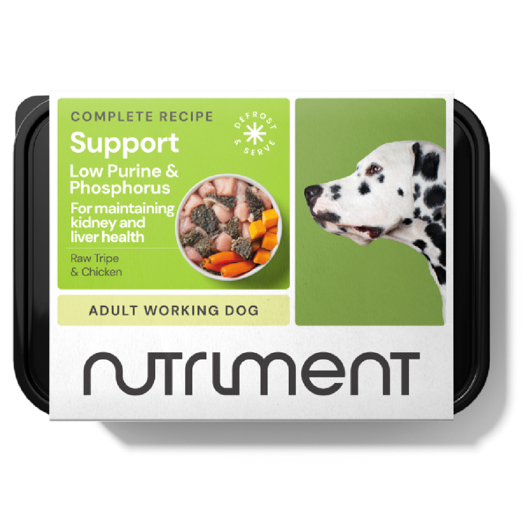 Nutriment raw dog food on Bristol