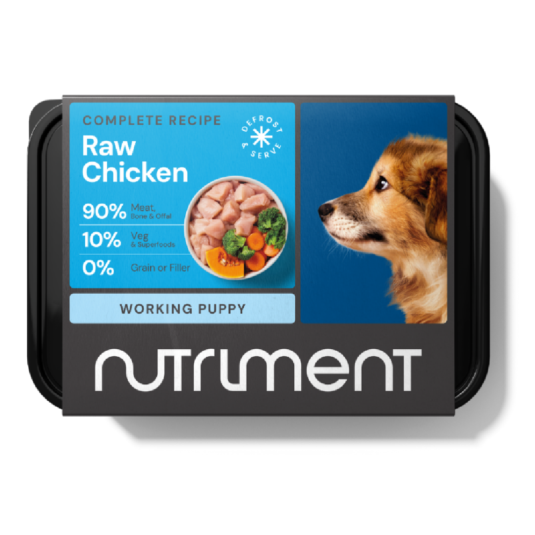 Nutriment raw dog food in Bristol