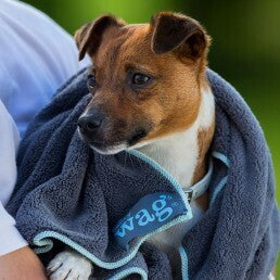 HW Pet Towel - Small