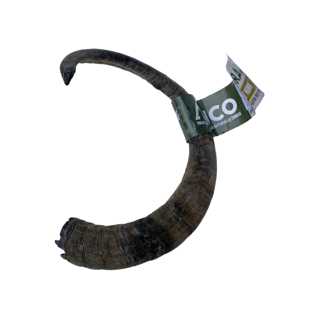 Goat Horn - long lasting dog chew